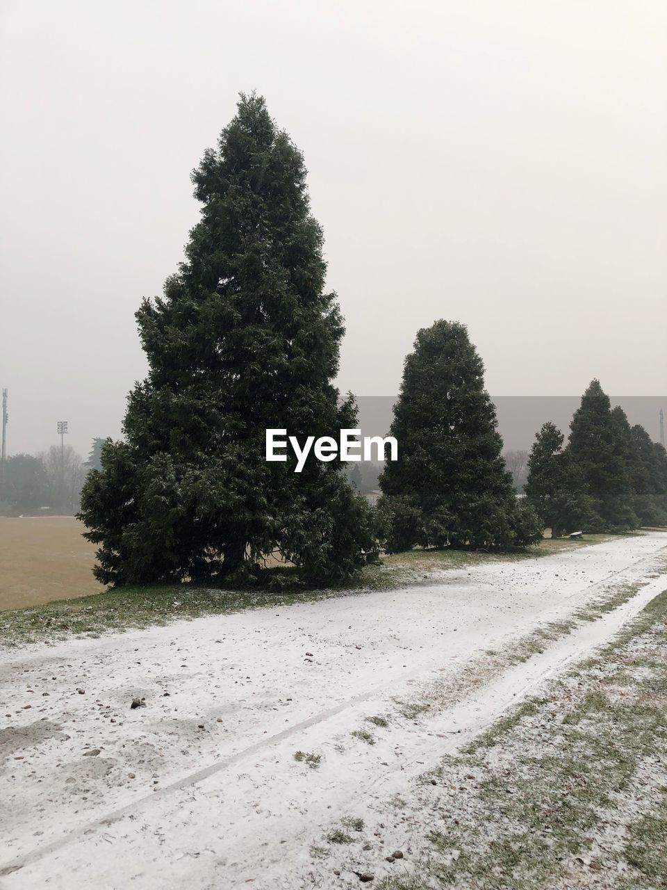 TREES ON SNOW COVERED LAND AGAINST SKY