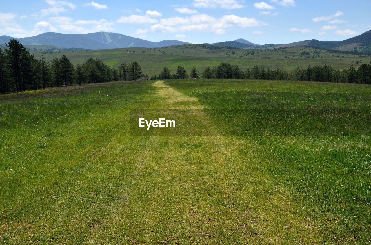 Path in grass to hills under spring clouds