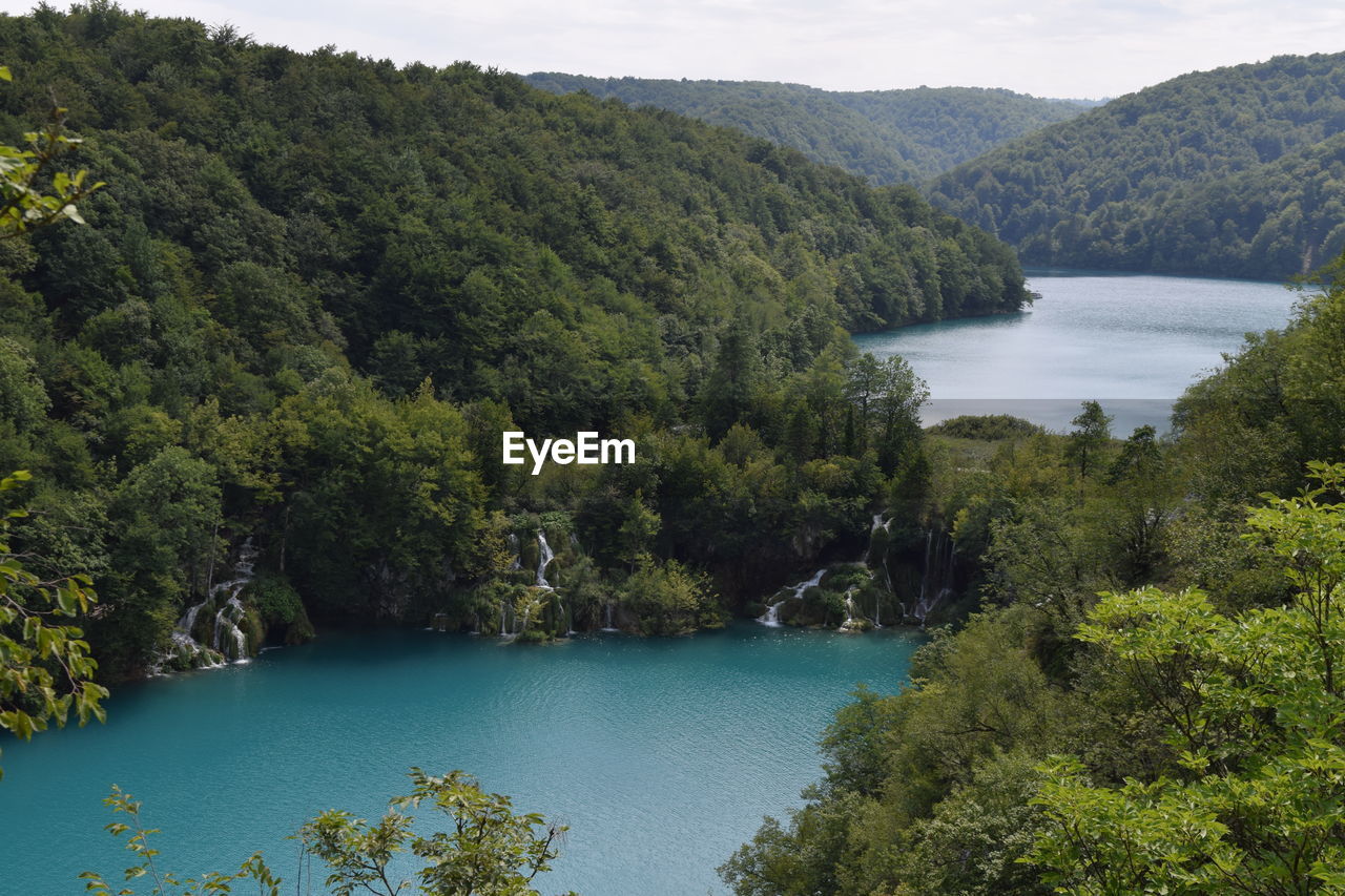 SCENIC VIEW OF RIVER IN FOREST AGAINST MOUNTAINS