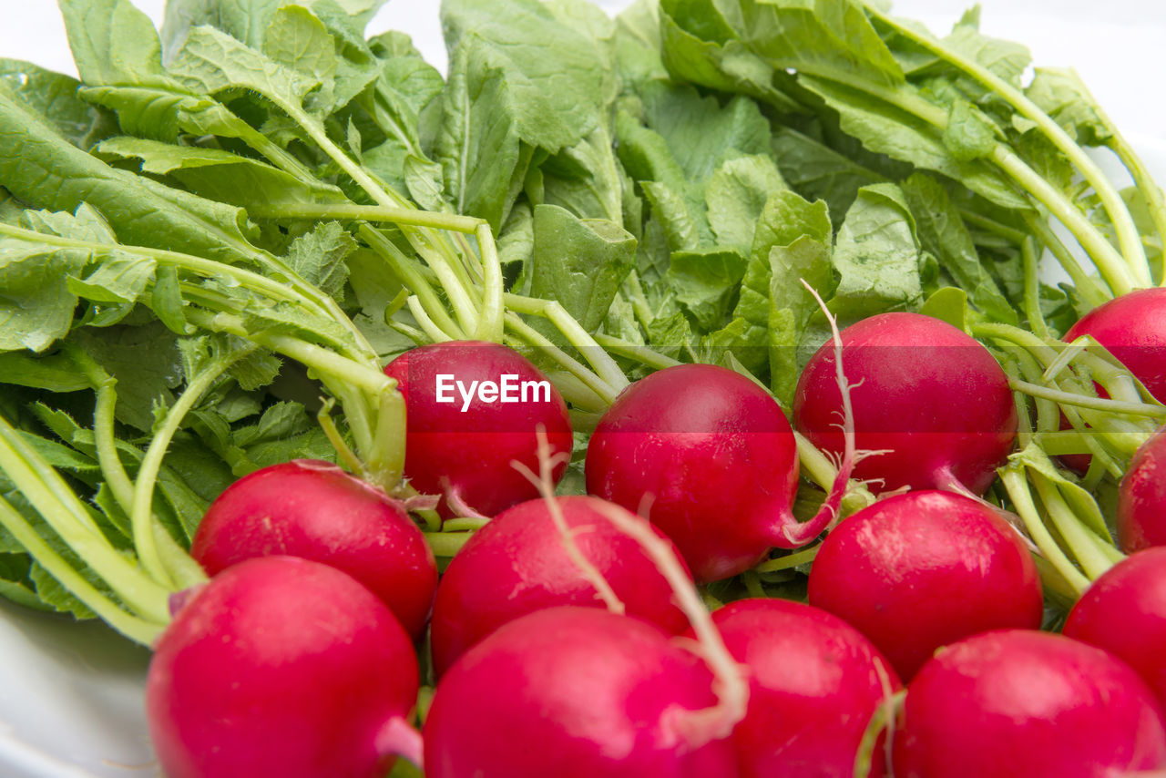 Close-up of radishes