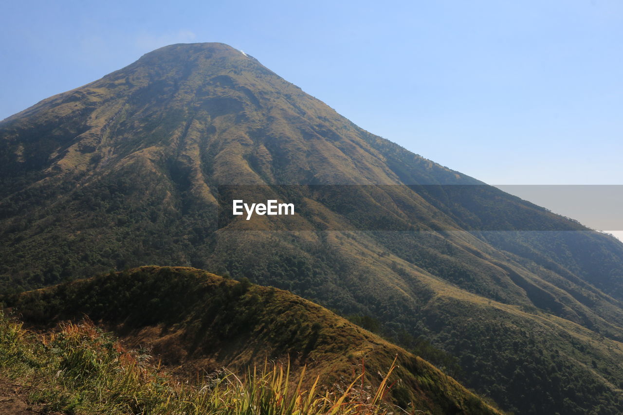 SCENIC VIEW OF LANDSCAPE AGAINST CLEAR SKY