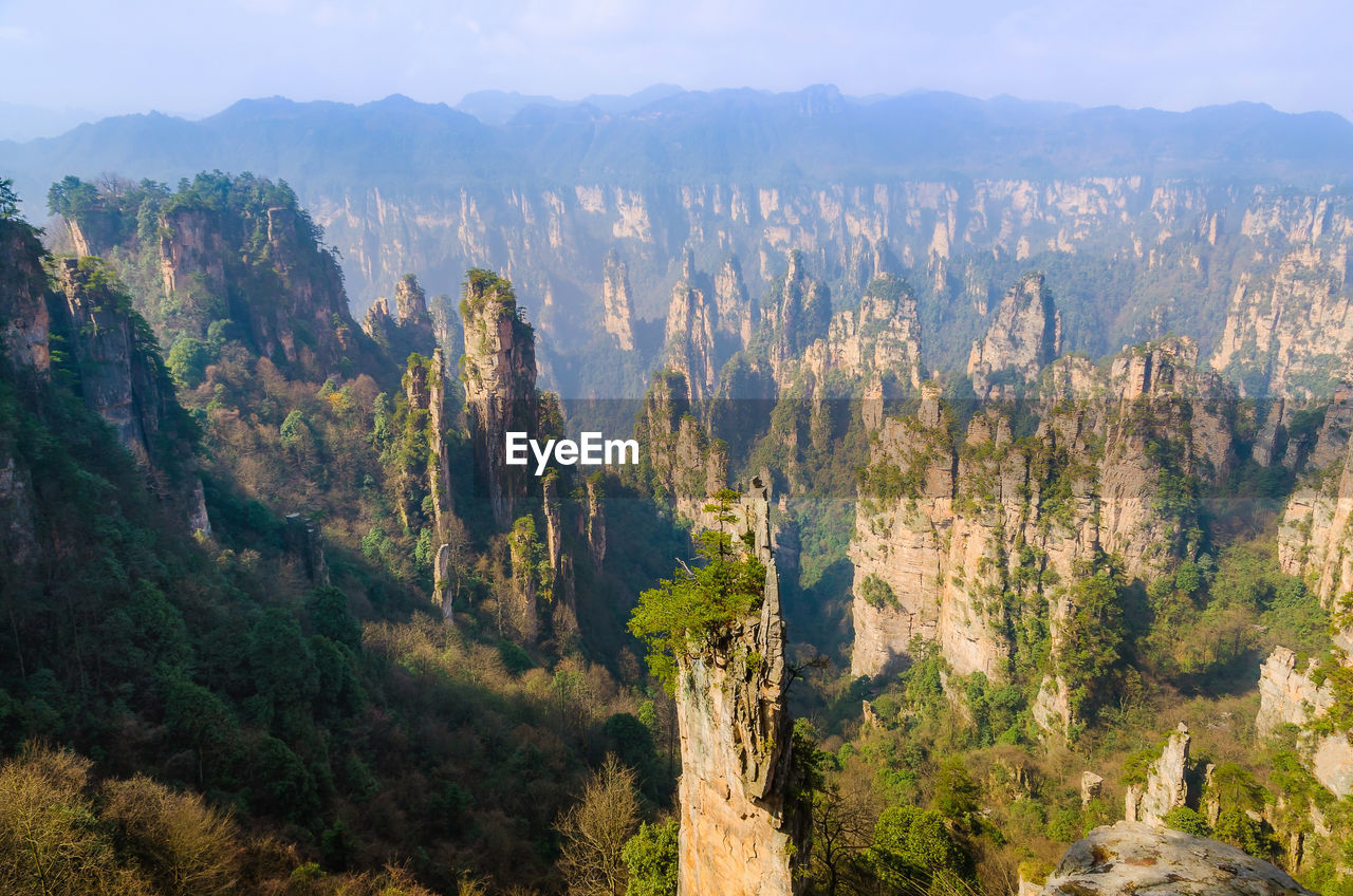 High angle view of trees with mountain range in background