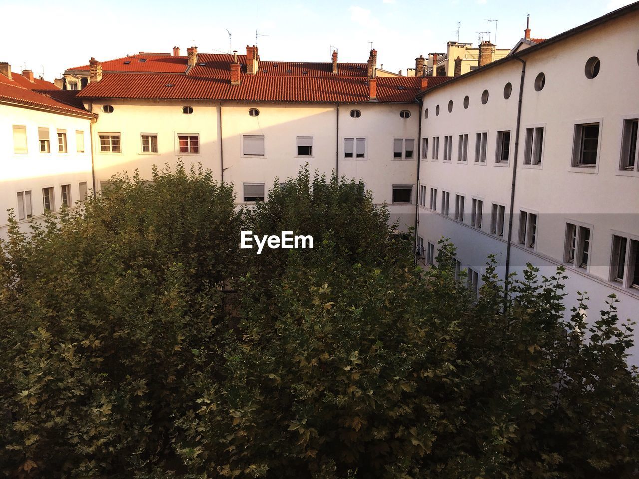 HIGH ANGLE VIEW OF TREES AND BUILDING