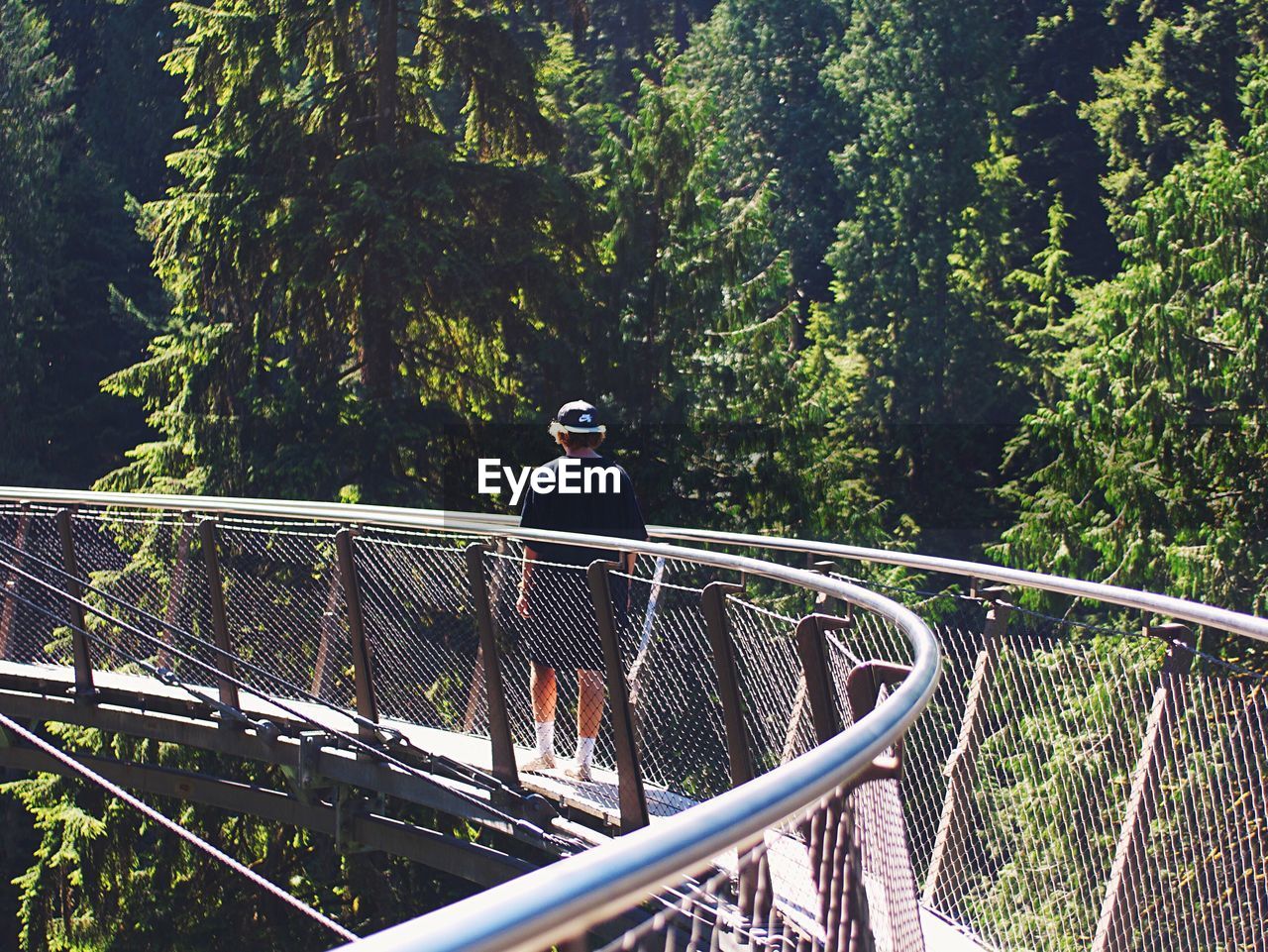 Man standing on footbridge in forest