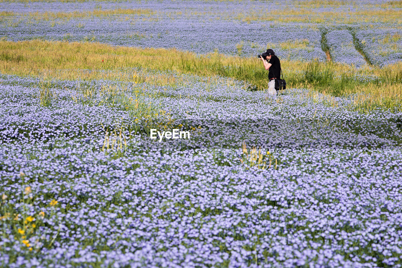 Man standing amidst flowerbed