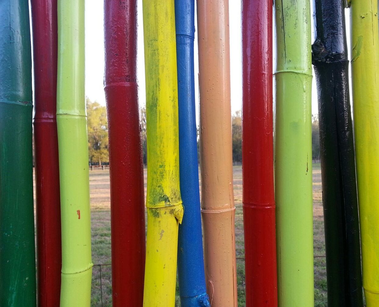 Detail shot of colorful bamboos