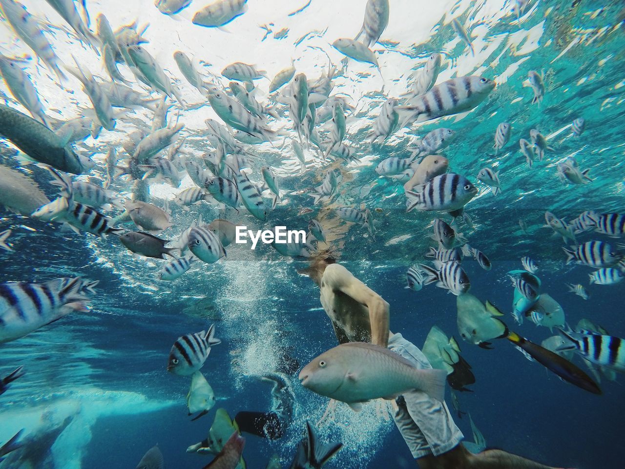 Shirtless man swimming undersea