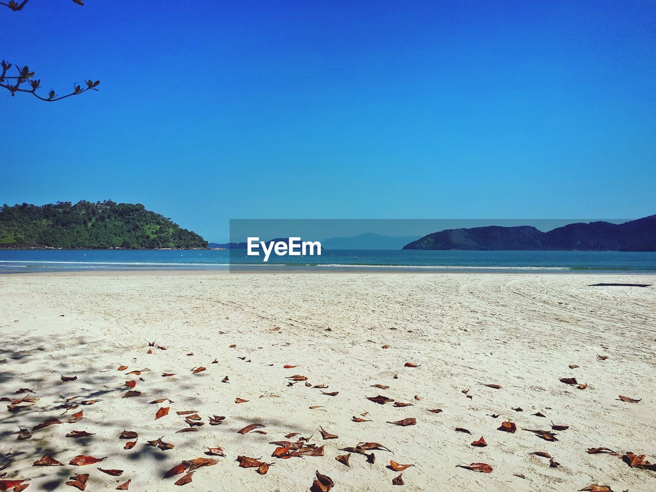 Scenic view of beach against clear blue sky