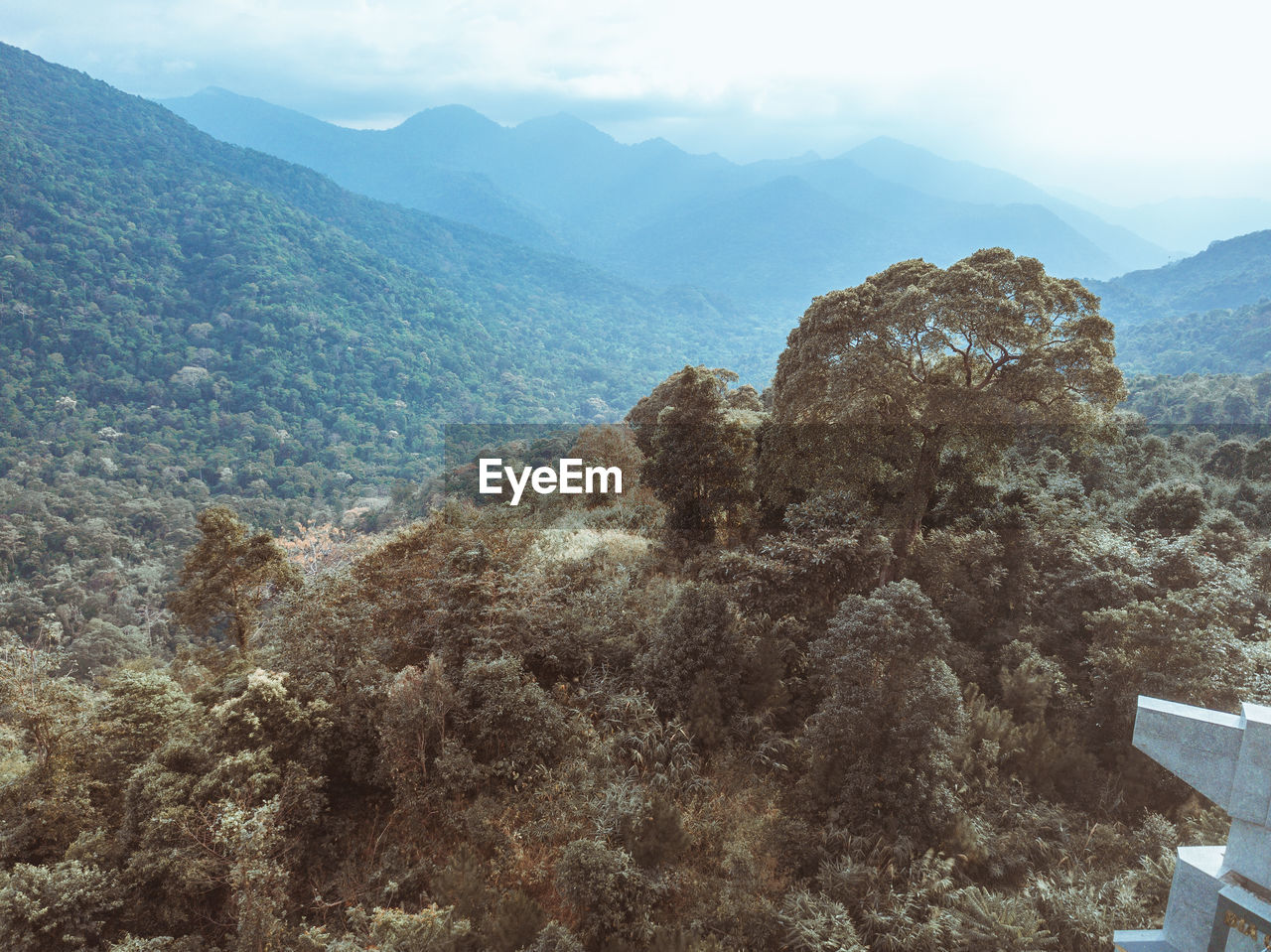 Scenic view of tree mountains