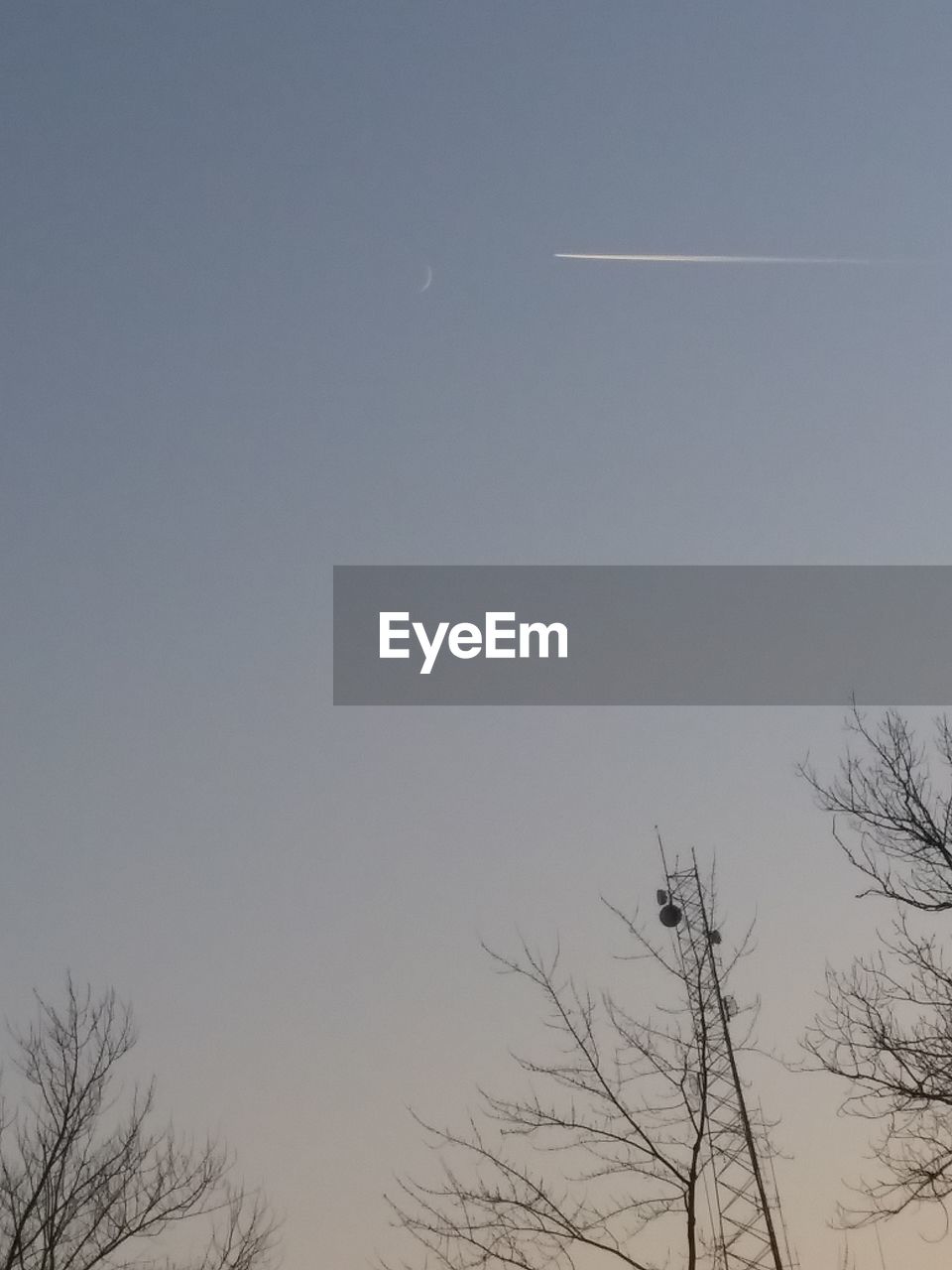 LOW ANGLE VIEW OF BARE TREE AGAINST CLEAR SKY