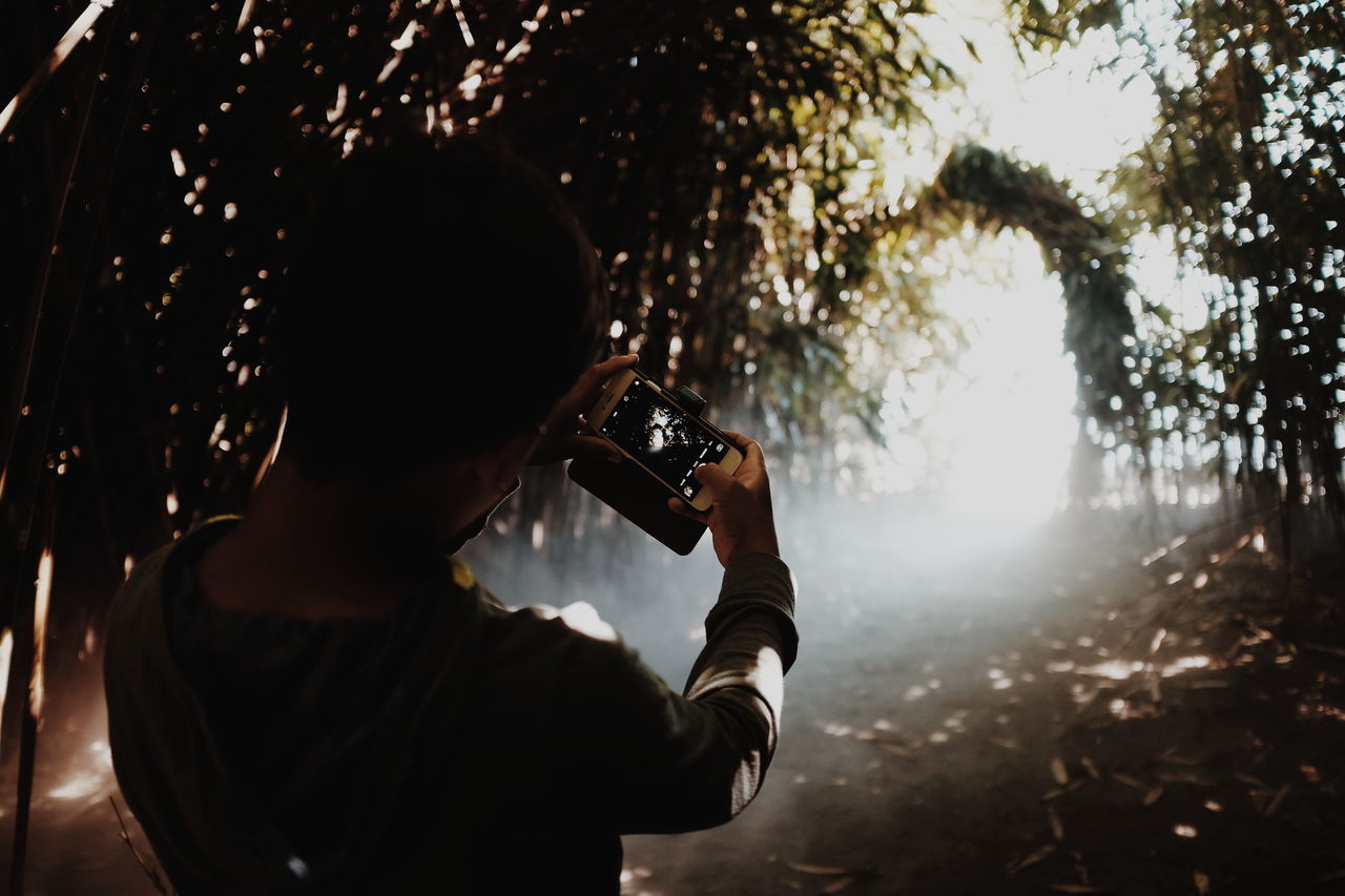 Rear view of man photographing trees through smart phone at forest