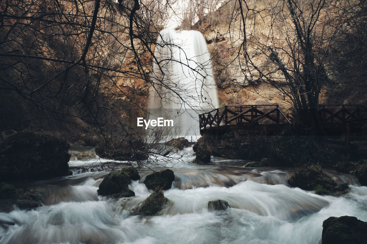 Scenic view of waterfall in forest