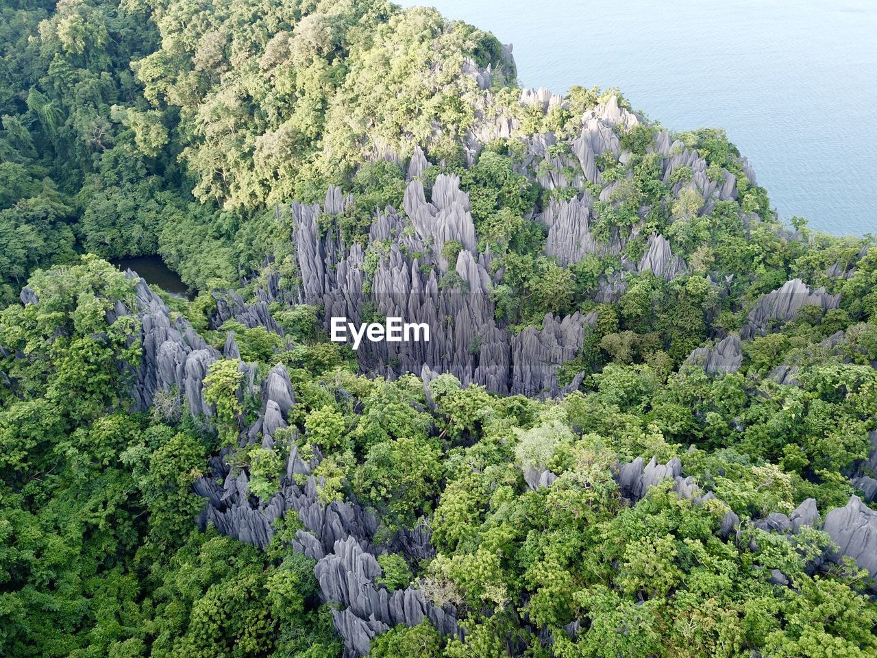 High angle view of trees by sea