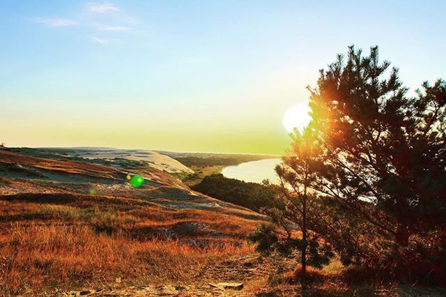 SUNSET OVER LANDSCAPE