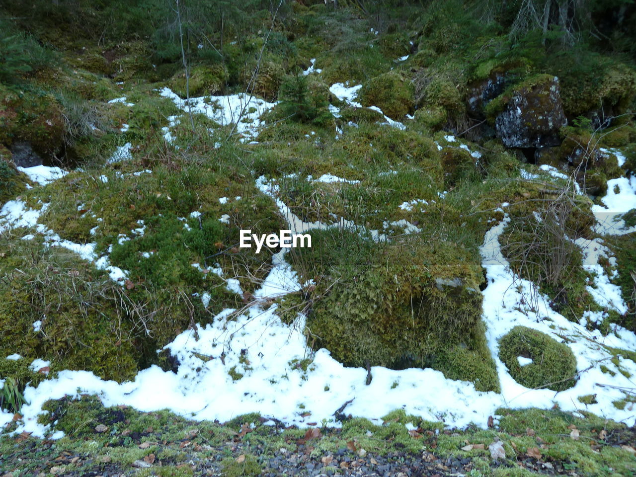 HIGH ANGLE VIEW OF SNOW COVERED LAND