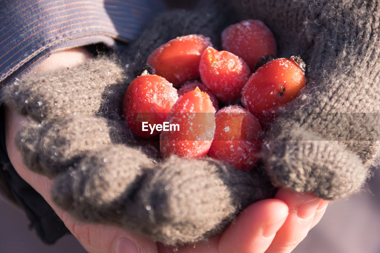 Close-up of woman holding rose hips in hand