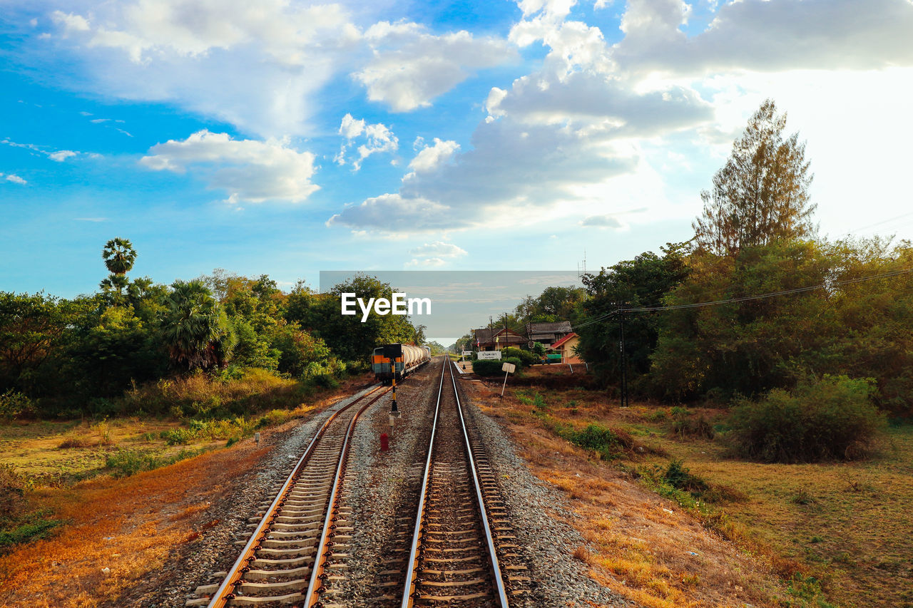 VIEW OF RAILROAD TRACKS ALONG TREES AND PLANTS