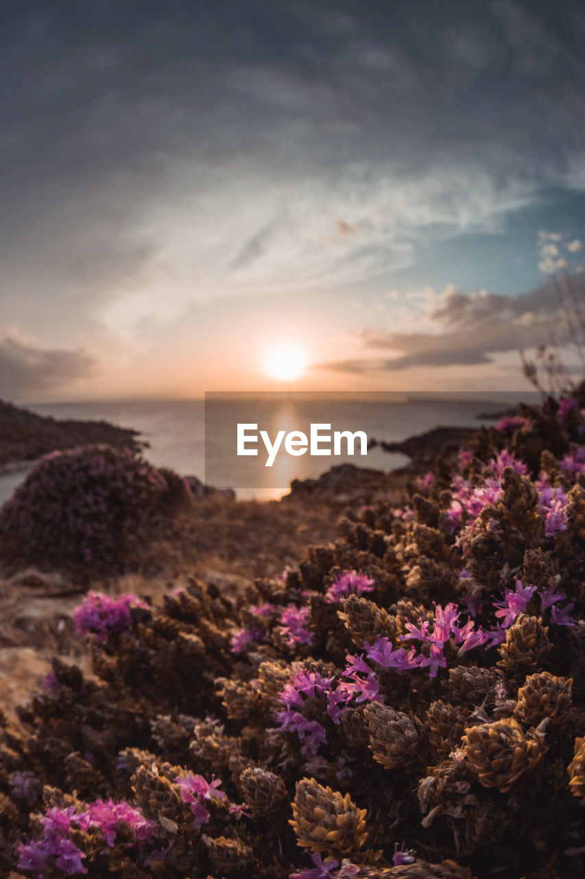 Scenic view of sea against cloudy sky during sunset