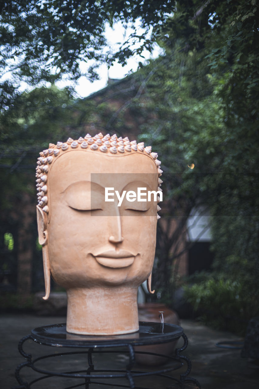 Close-up of buddha statue against trees