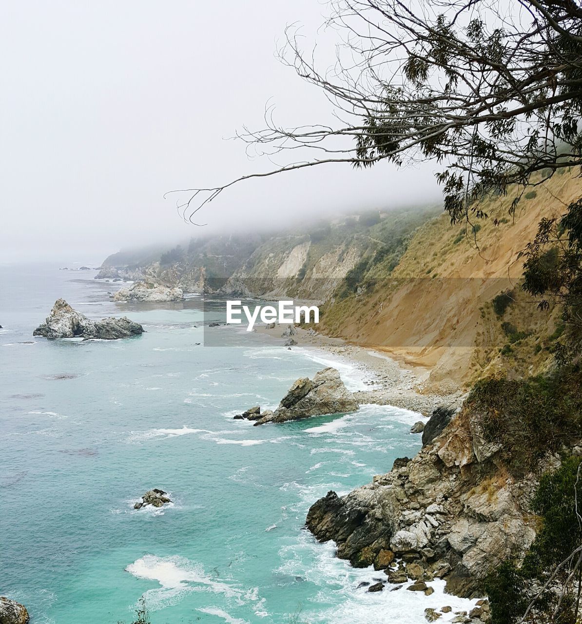 SCENIC VIEW OF SEA AND TREE AGAINST SKY