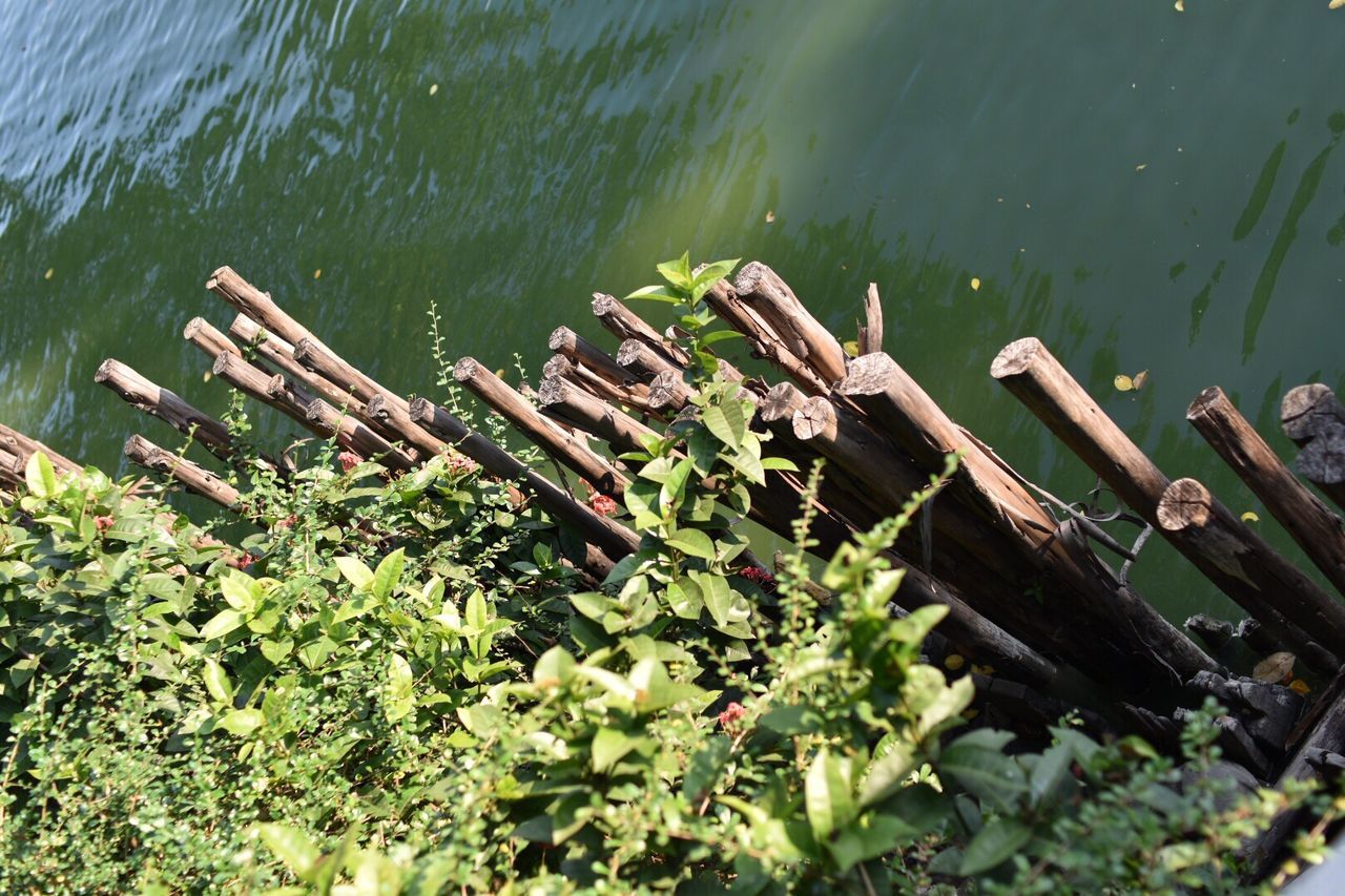 HIGH ANGLE VIEW OF WOODEN POSTS IN LAKE