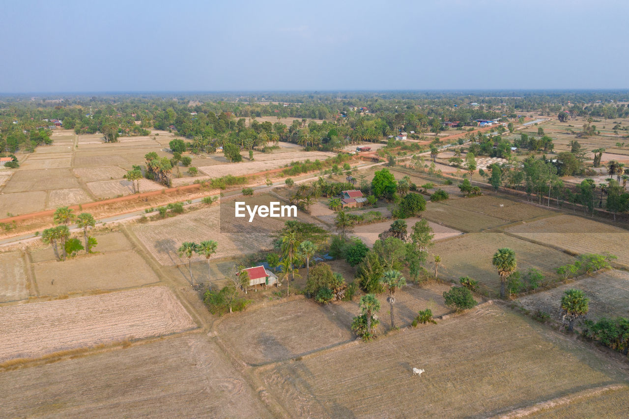 HIGH ANGLE VIEW OF TREES AND BUILDINGS IN CITY