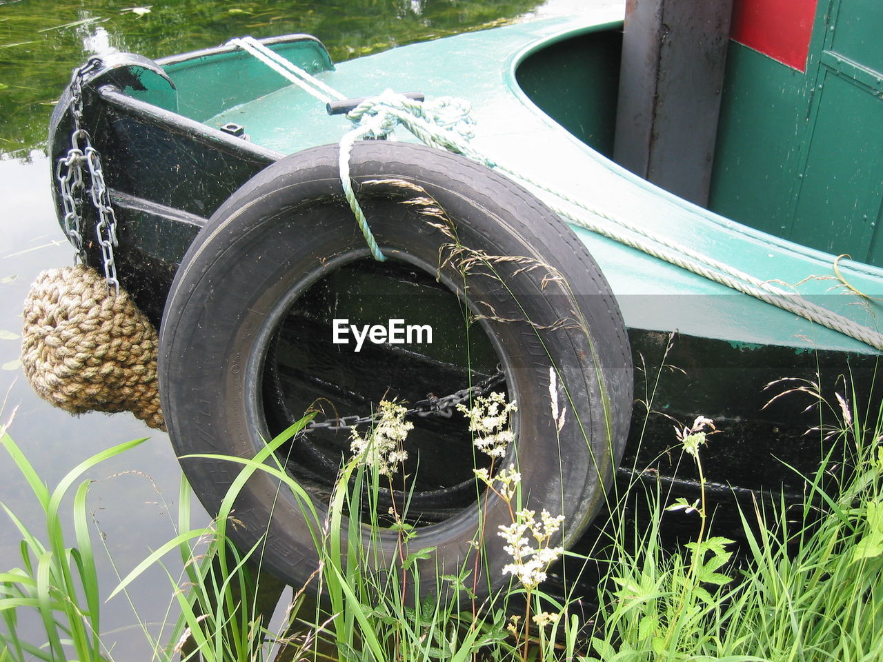 CLOSE-UP VIEW OF GRASS