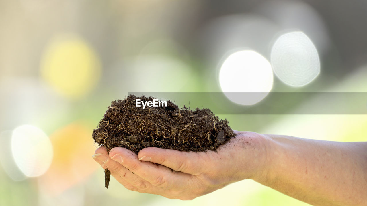 Close-up of hand holding soil