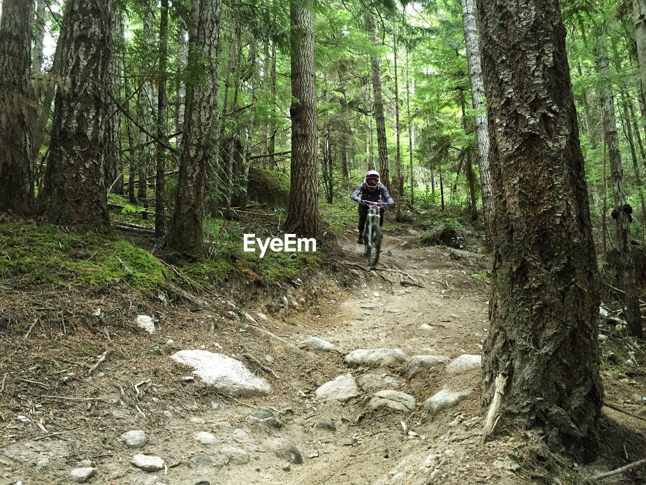 REAR VIEW OF MAN RIDING BICYCLE ON TREE TRUNK