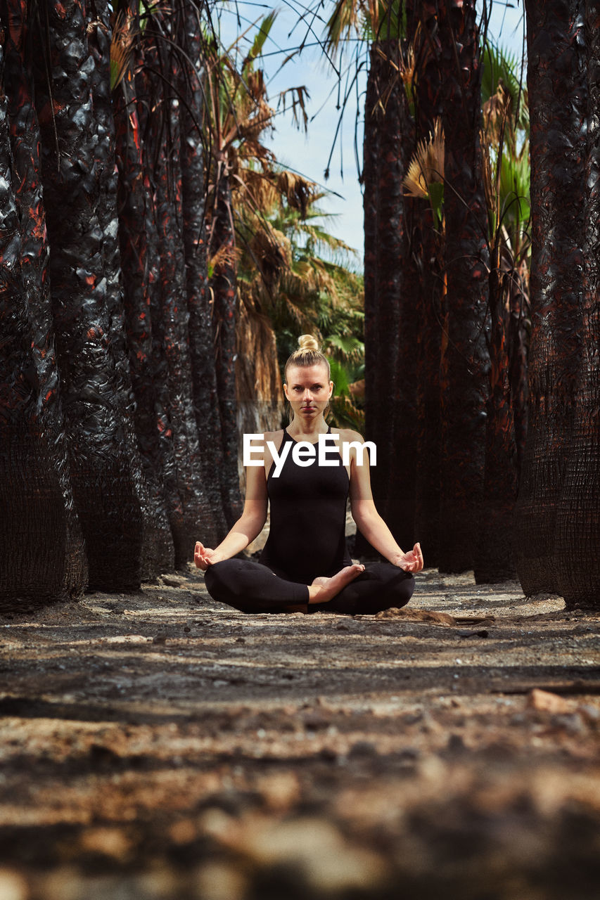 FULL LENGTH PORTRAIT OF MAN SITTING ON BENCH AGAINST TREES