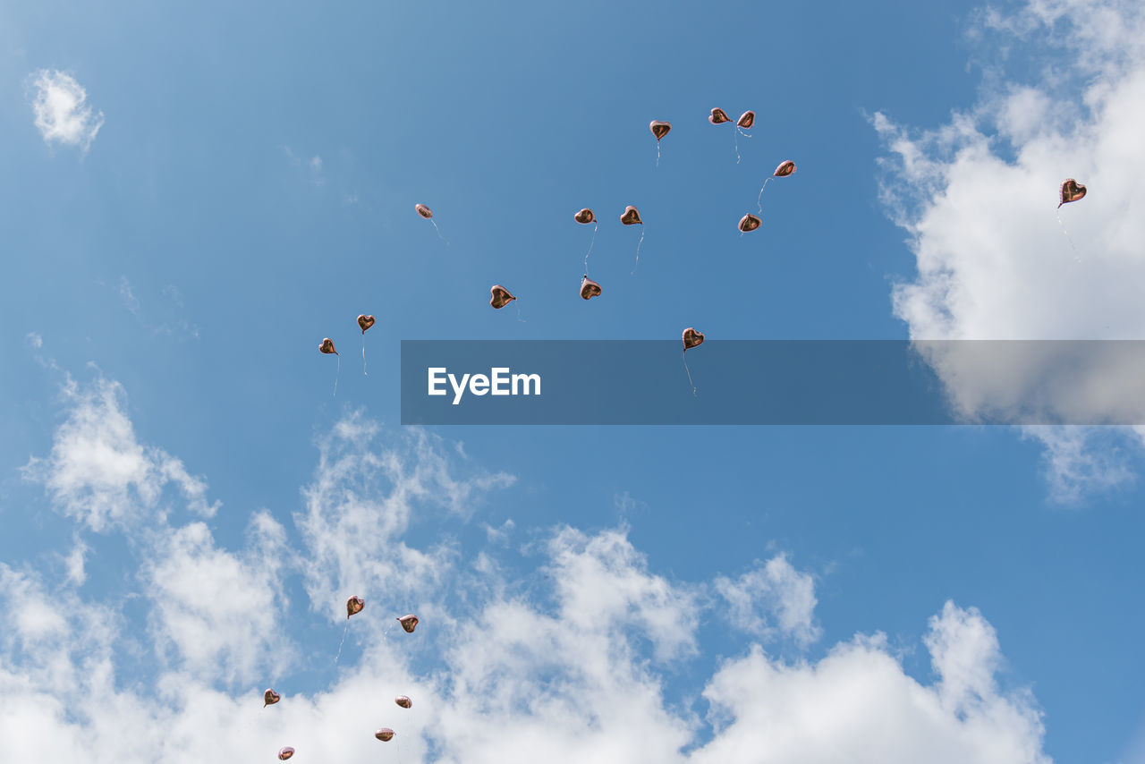 LOW ANGLE VIEW OF BIRDS IN SKY