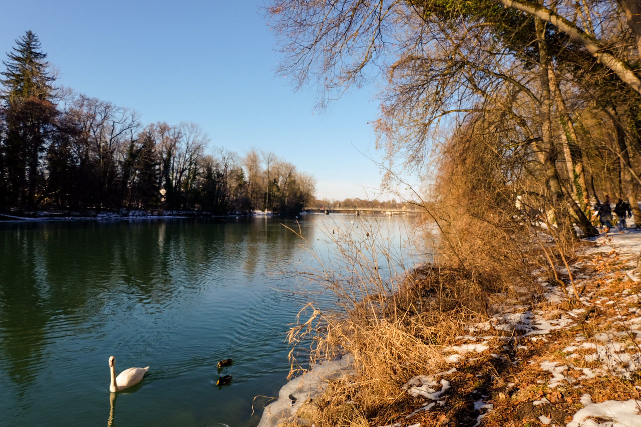 DUCKS SWIMMING IN LAKE AGAINST SKY