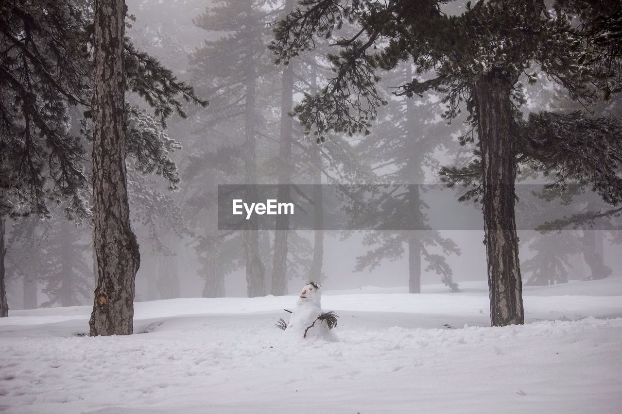 Snowman on field against trees