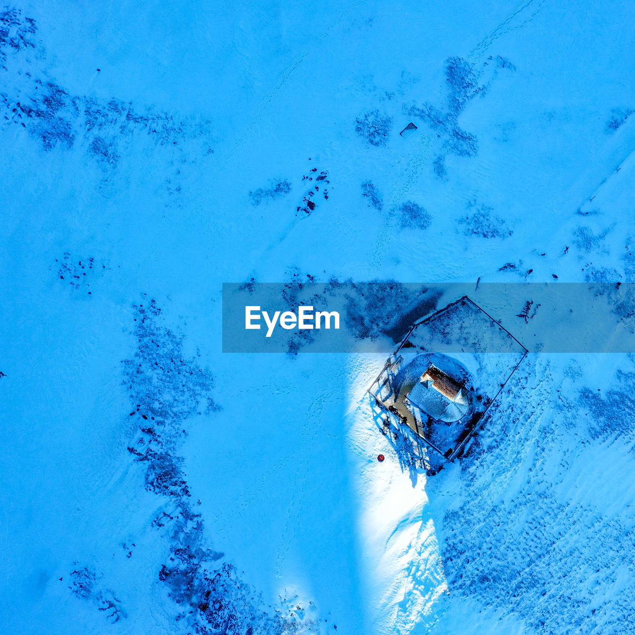 HIGH ANGLE VIEW OF FROZEN SWIMMING IN SEA