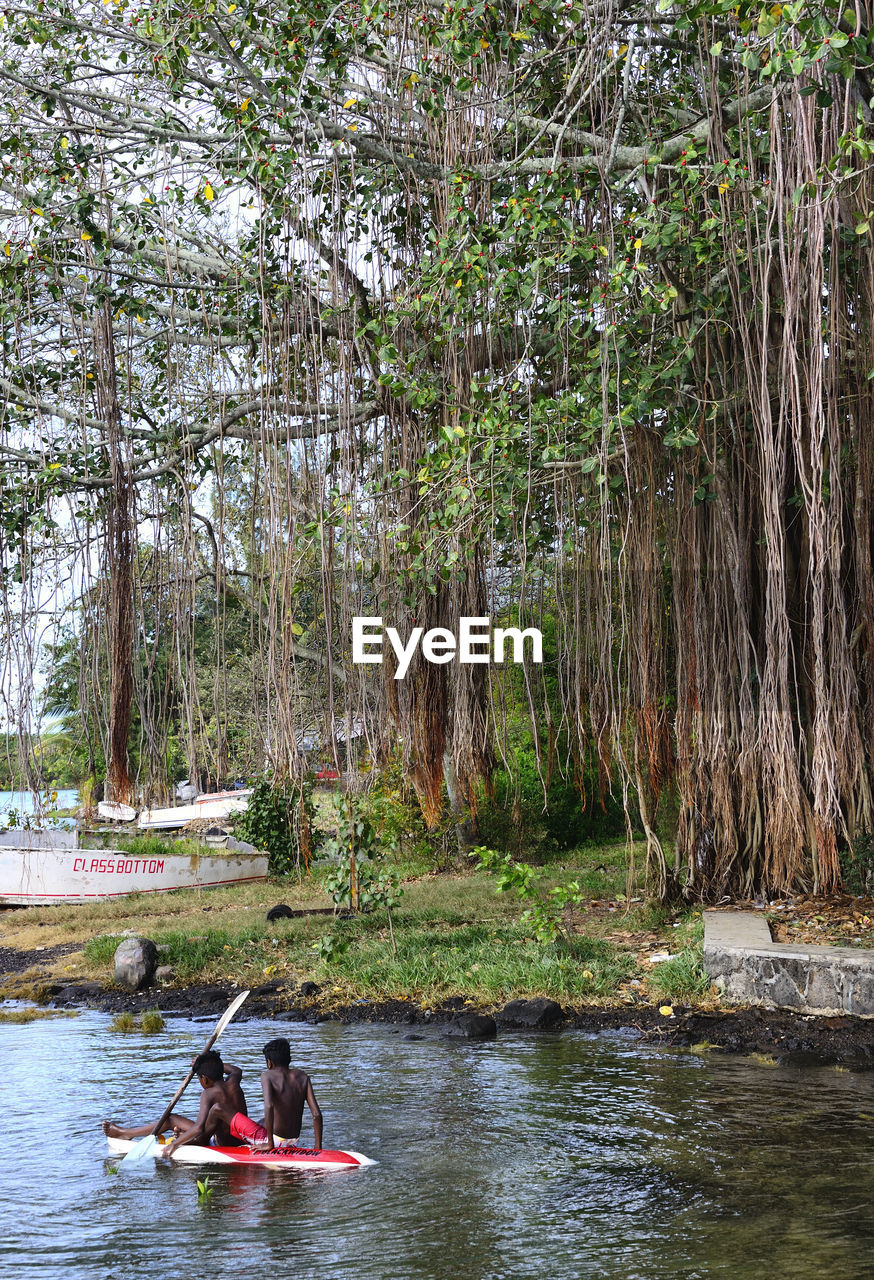 PEOPLE IN RIVER BY TREES IN FOREST