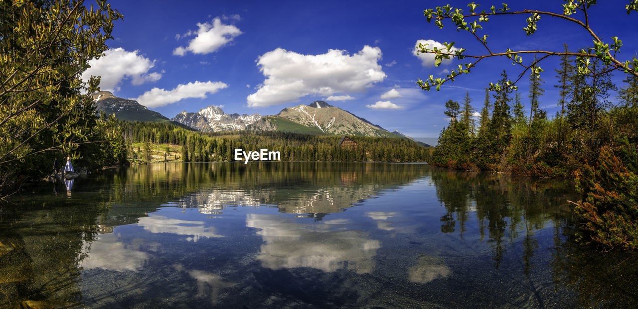 Scenic view of lake by trees against sky