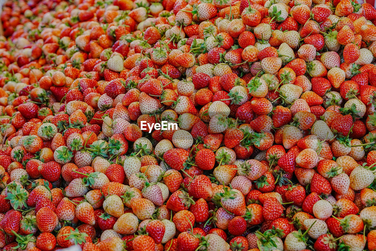 fruit, full frame, healthy eating, abundance, plant, food, food and drink, freshness, backgrounds, red, large group of objects, produce, wellbeing, berry, no people, market, for sale, strawberry, retail, still life, high angle view, day, vegetable, close-up, market stall, repetition, arrangement