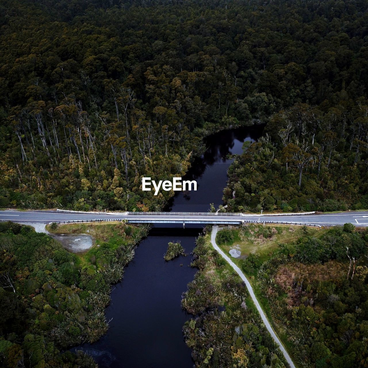High angle view of stream amidst trees in forest