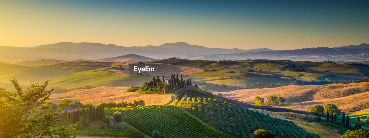 Scenic view of field against clear sky during sunrise