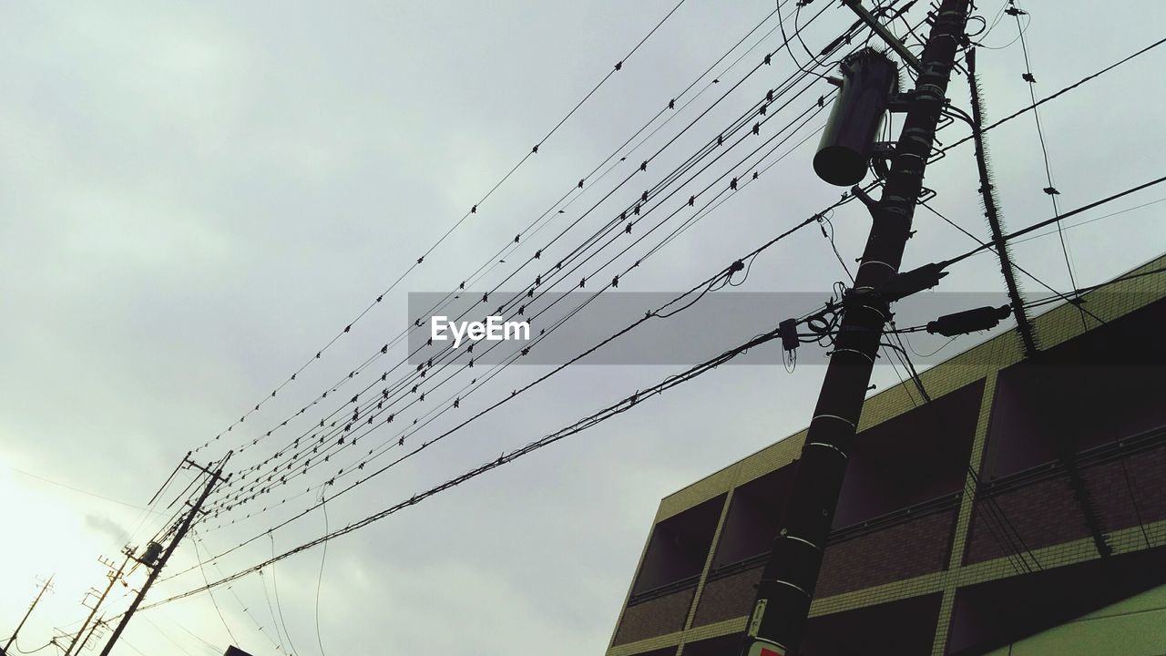 Low angle view of telephone line against sky