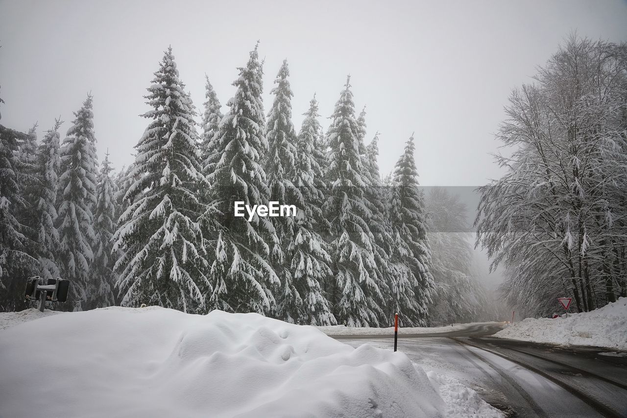 SNOW COVERED ROAD BY TREES AGAINST SKY