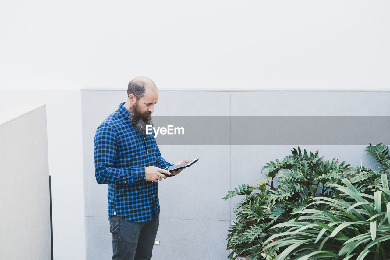 Busy male worker standing in creative workspace with plants and browsing tablet while working on new project