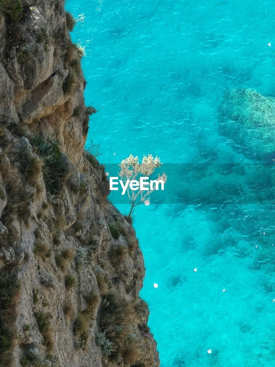 water, sea, reef, beauty in nature, nature, coral reef, rock, blue, marine biology, high angle view, turquoise colored, day, scenics - nature, no people, land, underwater, coral, ocean, sea life, rock formation, undersea, outdoors, animal, tranquility, sports, tranquil scene, idyllic, beach, wildlife, animal wildlife