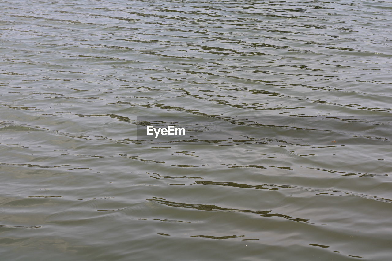 HIGH ANGLE VIEW OF RIPPLED WATER