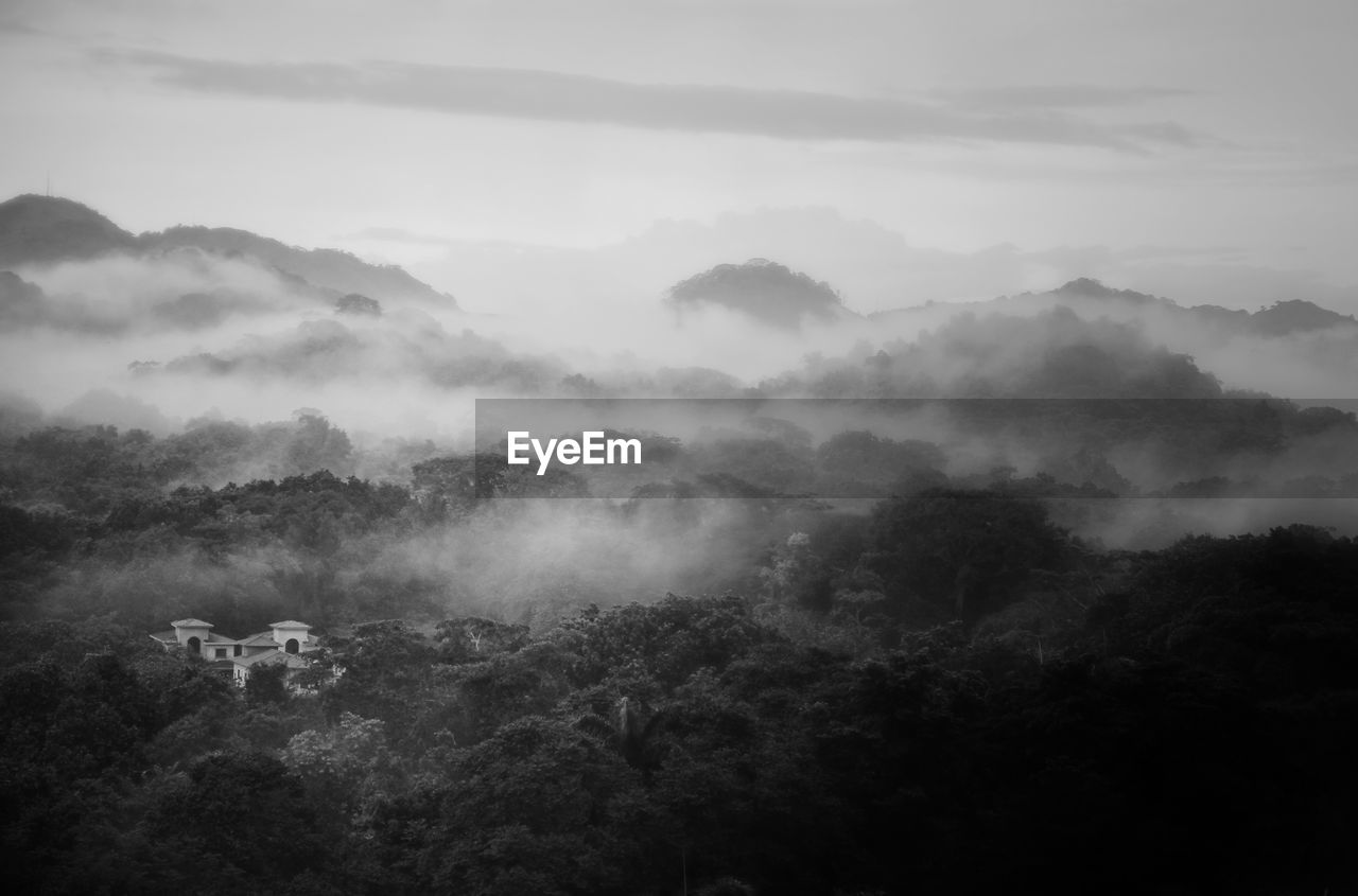 Village in fog