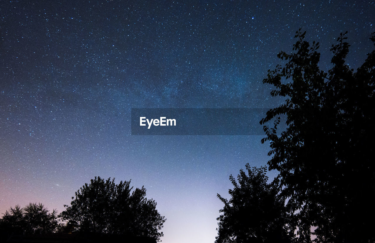 Low angle view of silhouette trees against sky at night