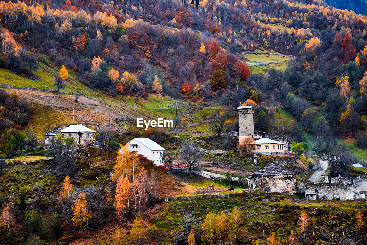 High angle view of trees and buildings during autumn