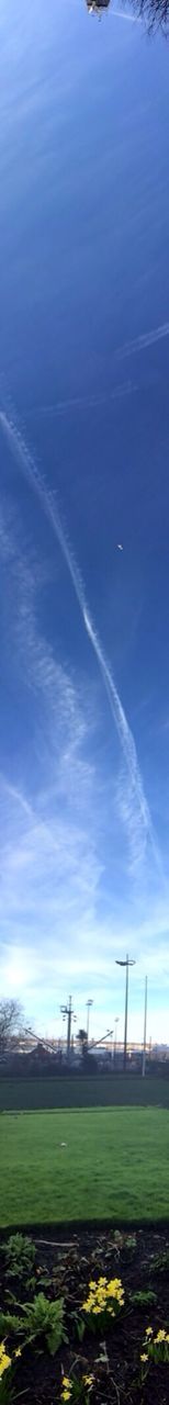 Field against blue sky