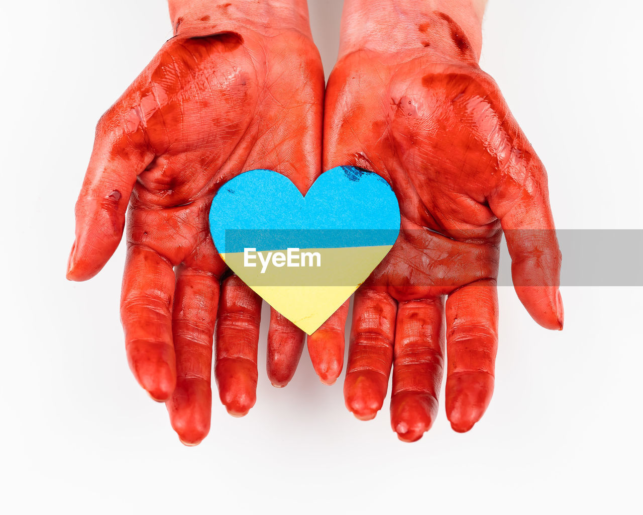 Bloody female hands with the flag of ukraine in the shape of a heart on a white background. 