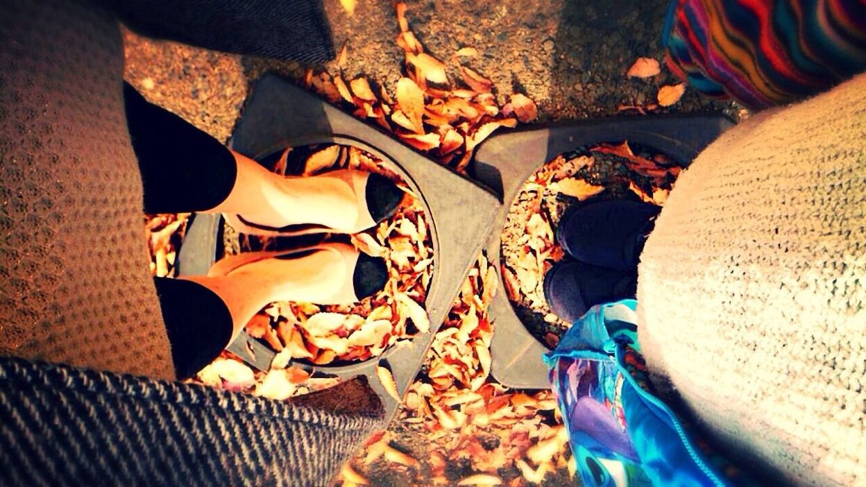 Low section of women standing on fallen dry leaves